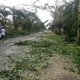 Minstens 29 doden na doortocht van cycloon op Madagaskar, 22 mensen nog vermist