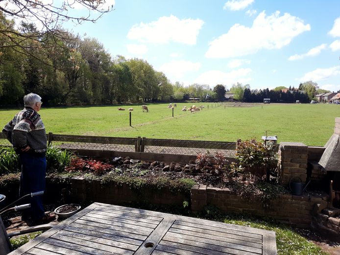 Tammo Houtgast kijkt vanuit zijn tuin op het grasveld. ,,Komen hier tweehonderd woningen? Dat past nooit.'' Rechts de huizen van de Insingerstraat, links de bomen langs het 2e Heezerlaantje.