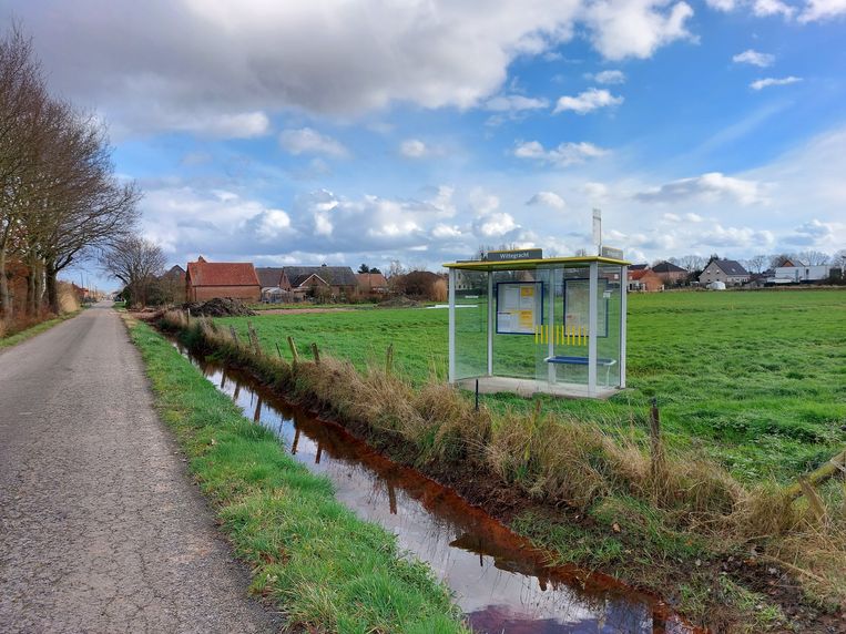 Dit bushokje duikt op een wel erg bijzondere plek op. Beeld Wouter Demuynck