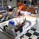 Illustrator Sylvia Weve krijgt prestigieuze Max Velthuijs-prijs