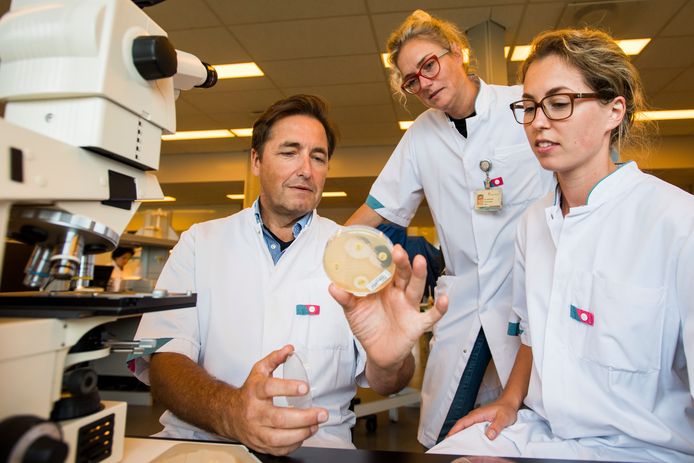 Jan Kluytmans bekijkt met twee collega's met Ina Willemsen (midden) en Bregje Mutsaers een kweek in het laboratorium (archieffoto).