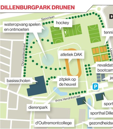Ambitieus plan Dillenburgpark kan verder, nu de eerste kleine maatregelen