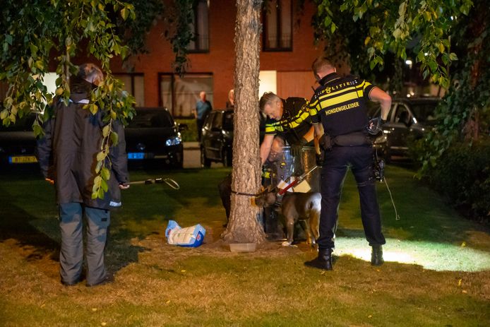 Hond vastgemaakt aan boom en achtergelaten in Eindhoven.