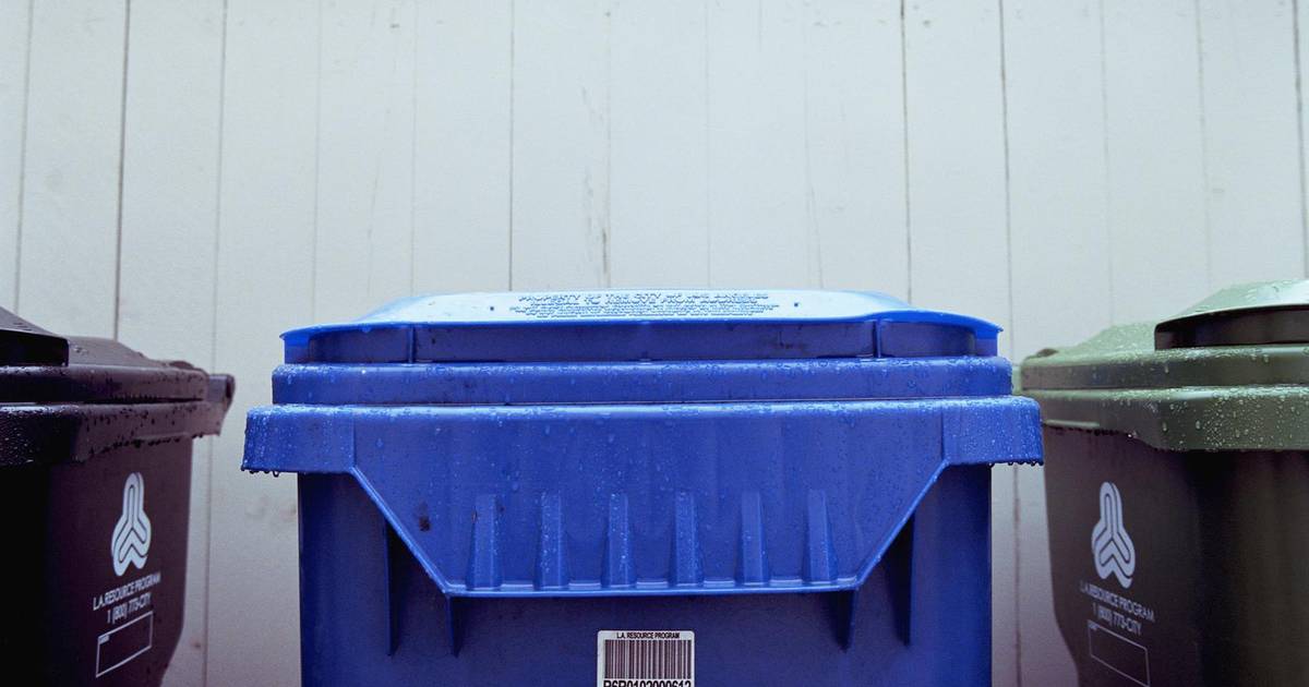 Studente Duikt Voor Masterscriptie Onder In Wereld Van Vlaamse Dumpster Divers Onderwijs Hln Be