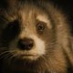 Terwijl veel superheldenfilms steeds eenvormiger worden, is ‘Guardians of the Galaxy Vol. 3’ kleurrijk en origineel ★★★★☆