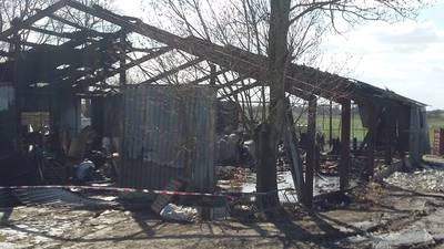 Man (67) opgepakt voor xtc-lab in Poortvliet dat afbrandde en waarbij 28 schapen overleden