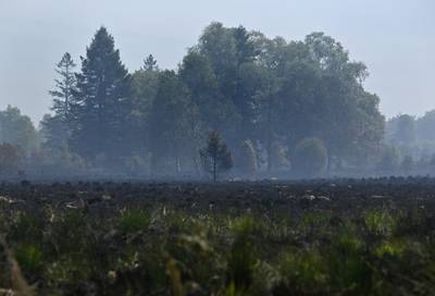 LIVEBLOG. Natuurbrand in Hoge Venen onder controle maar nog niet helemaal geblust, mogelijk wordt hulp ingeroepen van buitenlandse brandweerploegen