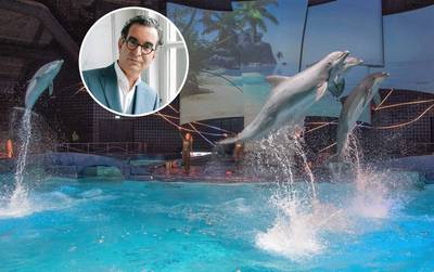 Tweede Kamer keert zich massaal tegen verhuizing Dolfinarium-dieren naar China: ‘Belang hiervan niet