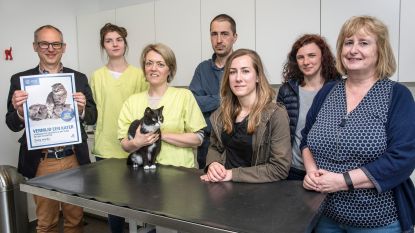 Subsidie voor castratie, sterilisatie en chippen van katten