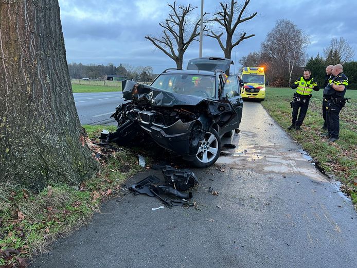 De bestuurder kwam met zijn auto vol tegen een boom tot stilstand.