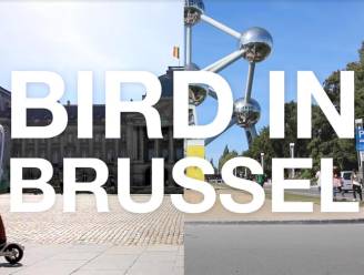 Vlogger legt uit waarom elektrische deelsteps het beste vervoermiddel zijn in Brussel