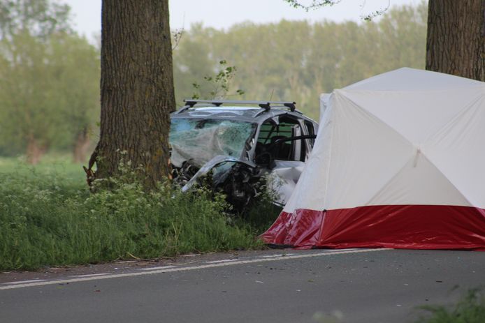 Het dodelijk ongeval gebeurde op de Damse Steenweg in Dudzele.