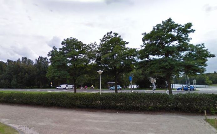 De bomen tussen de surfplas en de Drunenseweg in Waalwijk blijven voorlopig staan.