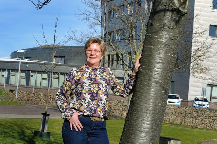 Corina van der Vliet-Hart verruilt de Statenzaal in Middelburg voor de raadszaal in Zierikzee.