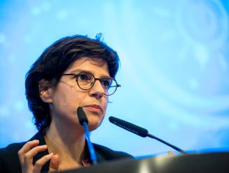 Raad van State stelt kritische vragen bij plannen voor overwinstbelasting energiebedrijven