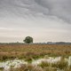 Projectontwikkelaars kunnen boeren uitkopen voor hun stikstofruimte – en dat baart menigeen zorgen