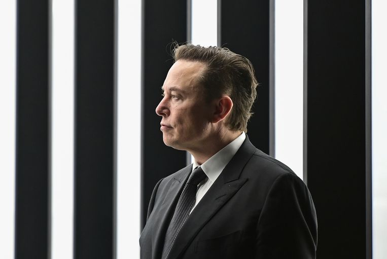 Twitter-CEO Elon Musk. Beeld AP