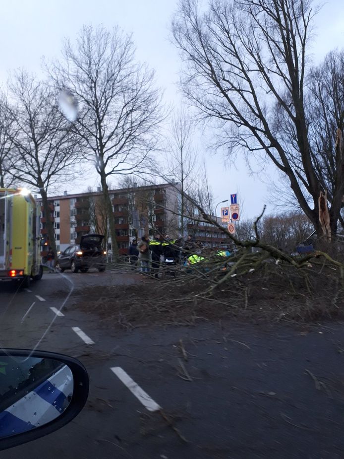 Boom omgewaaid op de Oudendijk in Dordrecht, één persoon is gewond geraakt.