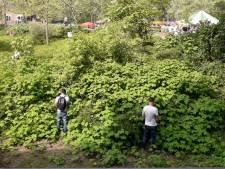 Wageningers klagen over overlast Bevrijdingsfestival: ‘Dit kan en mag niet meer gebeuren’