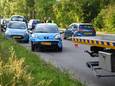 Kop-staartbotsing nadat kat oversteekt in Woerden.