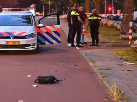 Aanhouding was zó traumatisch voor ramkraker Coolblue, dat hij proces in vrijheid wil afwachten