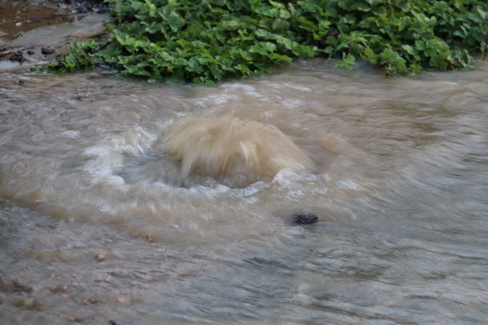 De hele wijk zit nu zonder water omwille van de breuk in de leiding.