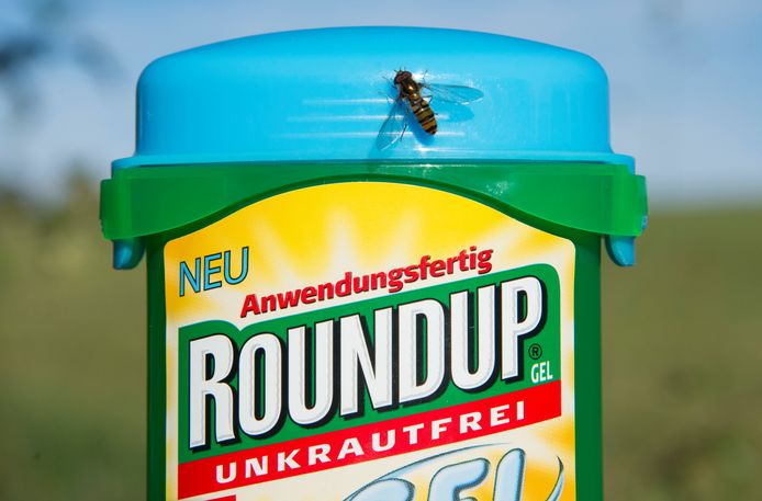 Bayer is het moederbedrijf van Monsanto. Dat werd veroordeeld tot het betalen van 290 miljoen dollar schadevergoeding aan een Amerikaanse tuinier die kanker kreeg door de onkruidverdelger Roundup.