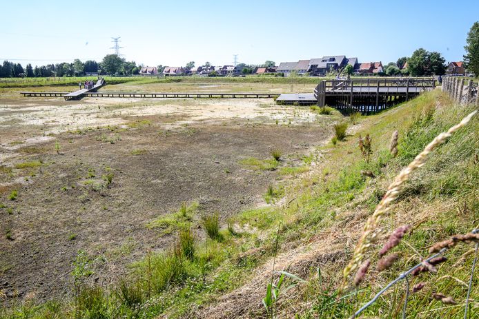 Een nieuw overstromingsgebied in het West-Vlaamse Zedelgem moet de gemeente vrijwaren van wateroverlast. De buffer is gisteren geopend.