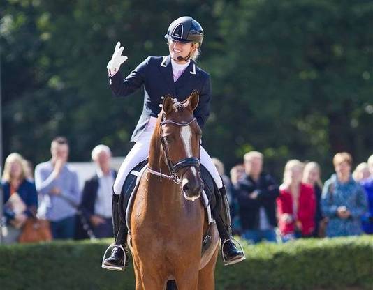 Britt heeft gelijk: paarden kunnen emoties lezen ...