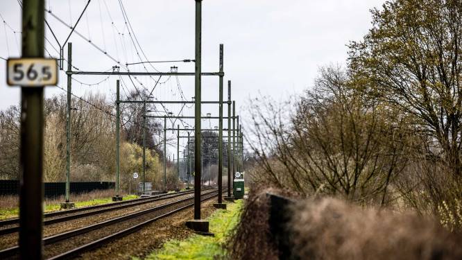 Provincie Limburg wil meepraten over nieuw goederenspoor België-Duitsland
