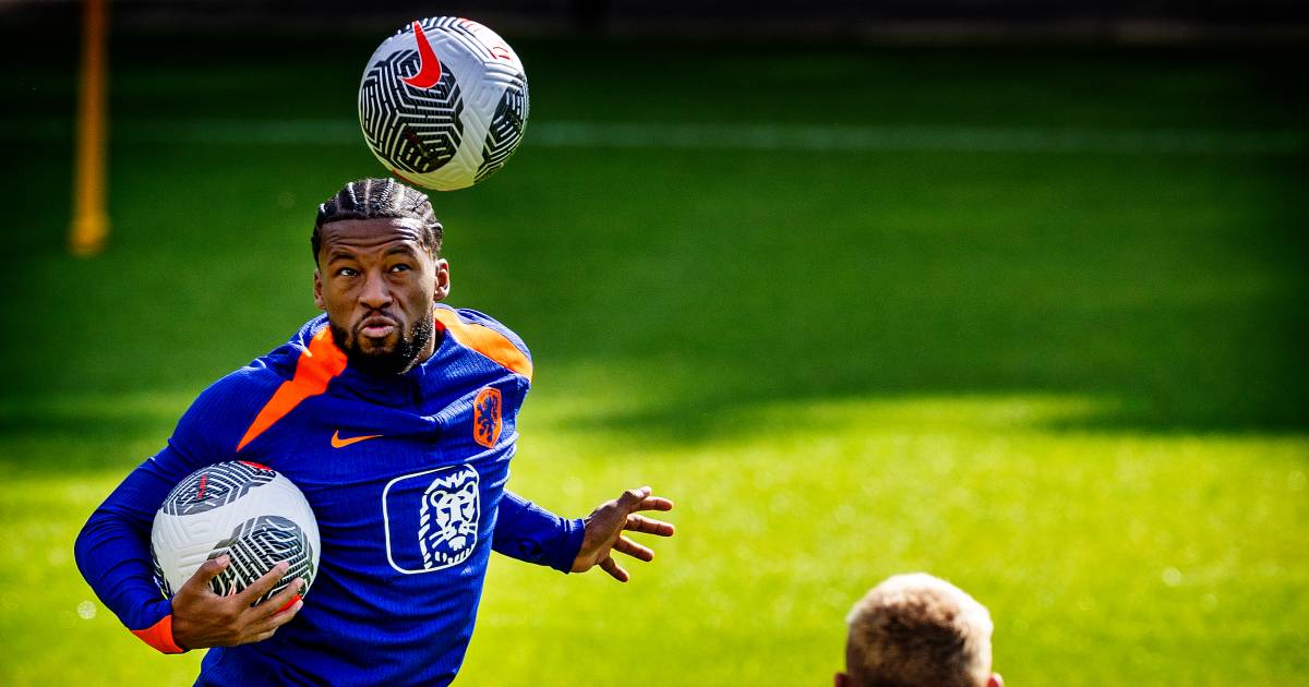 Georginio Wijnaldum duikt niet weg bij vragen over Saoedi-Arabië: ‘Maak je deze keuze, dan moet je v
