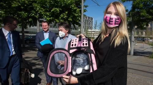 Lot van katje Lee ligt nu in handen van Antwerpse rechter