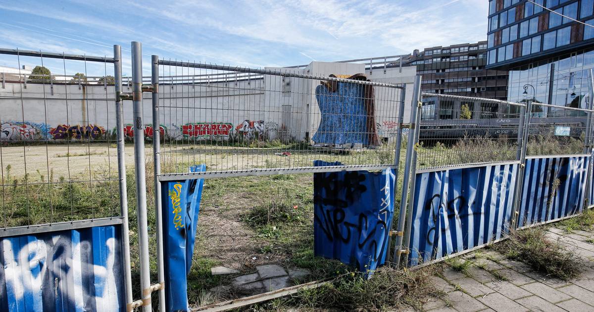 Dormir entre les rats et les déchets : les sans-abri se rassemblent sur un terrain vague à Smakkelaarskade |  Top Stories Utrecht