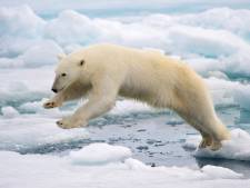 Het ‘einde van de wereld’ door klimaatverandering lijkt afgewend: zeven positieve signalen