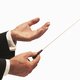 Publiek ziet dirigent (81) sterven tijdens concert