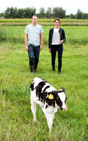Janina van der Drift, hier met melkveehouder Armando Kok, is initiatiefnemer van Kalverliefde.