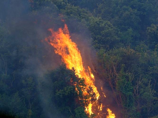 Italiaanse regio Molise vraagt noodtoestand af te kondigen vanwege verwoestende bosbranden