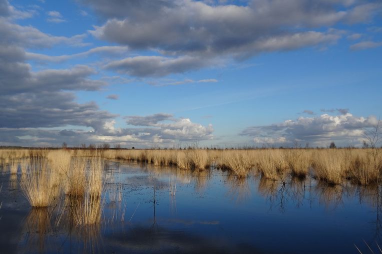 null Beeld Judith Bouma