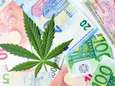 Eerste beleggerscongres over cannabis: "Trend met grote investeringskansen"