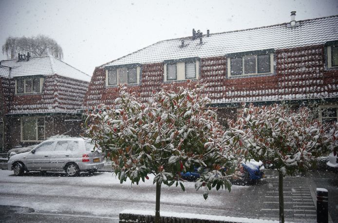Maart roert nog even zijn staart. Een uur geleden begon het in Renkum te sneeuwen en de witte pareltjes blijven neerdalen. Ook het natuurgebied Renkums Beekdal wordt bedolven onder een wit laken. De sneeuw blijft dus liggen.