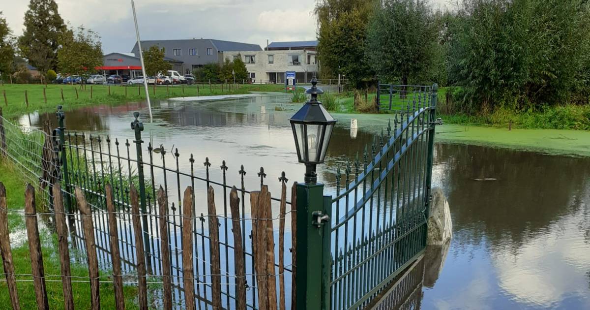 Wateroverlast is in Buren nijpender dan hitte en droogte - De Gelderlander