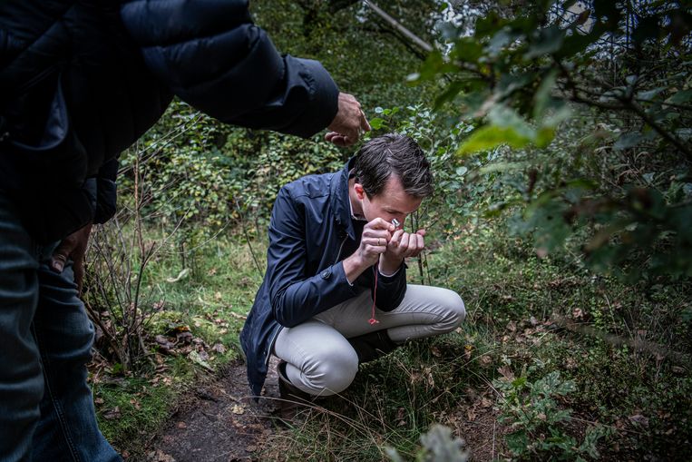  Wethouder Van der Schans bekijkt een mier in het mierenreservaat.
  Beeld Koen Verheijden
