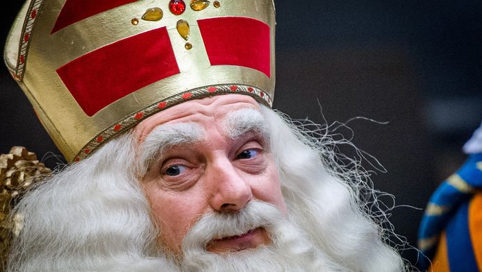 Website Sinterklaas Nl Verkocht Voor Halve Ton Bizar Destentor Nl