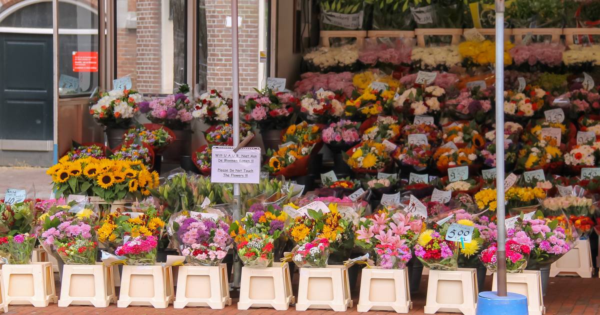 Kortingscode Topbloemen Juni