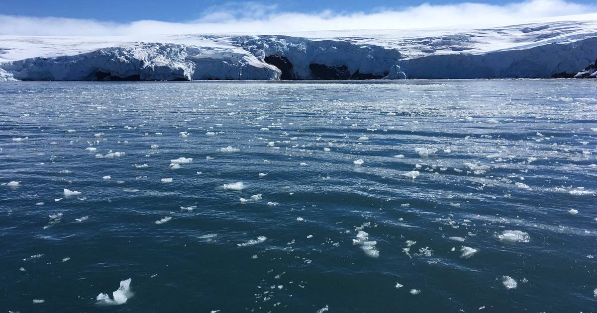 I have never seen so little sea ice in Antarctica |  science and planet