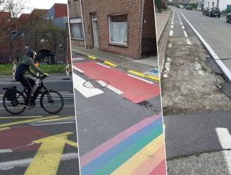 Lezers stuurden deze opmerkelijke foto's van "fietspaden" in...
