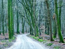 Auto steeds vaker geweerd uit Veluwse bossen: ‘Lekker rondje door bos rijden is niet de bedoeling’