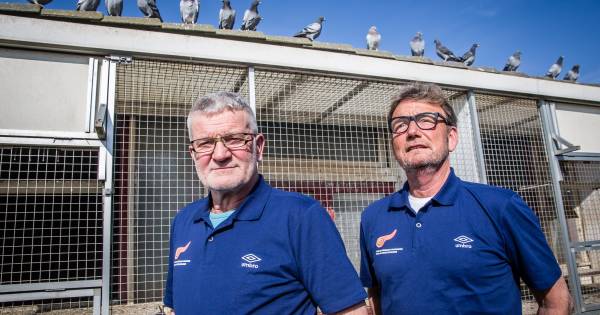 Sjaak de Kooning bracht leven in Lewedorp | Sport in Zeeland - PZC