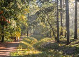 Dit zijn de stilste natuurgebieden van Nederland