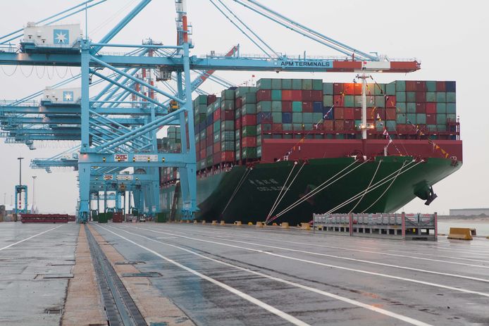 In de haven van Zeebrugge kwam vorig jaar een transmigrant om het leven.